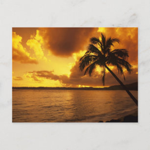 Carte Postale États-Unis, Hawaï, Kauai, Lever de soleil coloré d