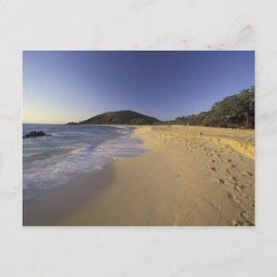 Carte Postale États-Unis, Hawaï, Maui, Empreintes dans le sable,