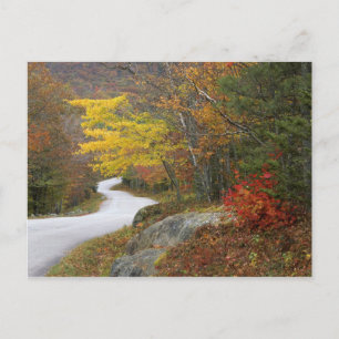 Carte Postale États-Unis, Maine, Camden. Route traversant Camden