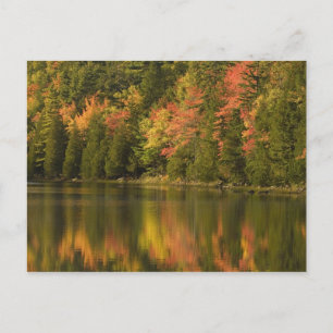 Carte Postale États-Unis; Maine; Parc national d'Acadia. Reflets
