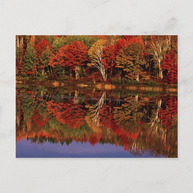 Carte Postale États-Unis, Michigan, péninsule supérieure. Automn (Devant)