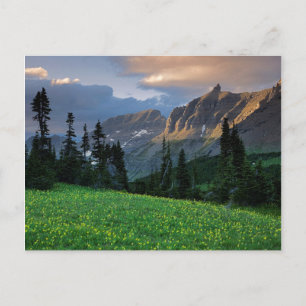 Carte Postale États-Unis, Montana, Glacier National Park, Logan
