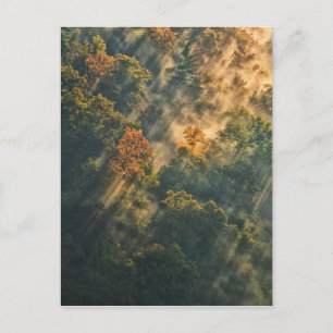 Carte Postale États-Unis, New York, Letchworth State Park. Lever