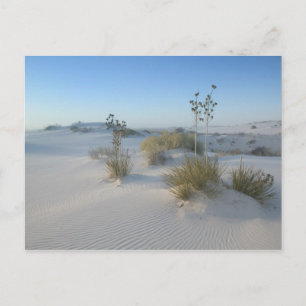 Carte Postale États-Unis, Nouveau-Mexique, White Sands National 