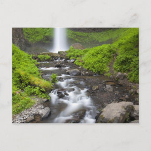Carte Postale États-Unis, Oregon, Columbia River Gorge, Latourel
