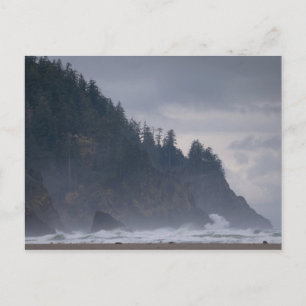 Carte Postale États-Unis, Oregon, Comté de Tillamook, Forêt à la