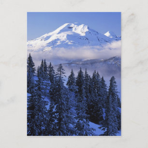Carte Postale États-Unis, Oregon, forêt nationale de Deschutes,