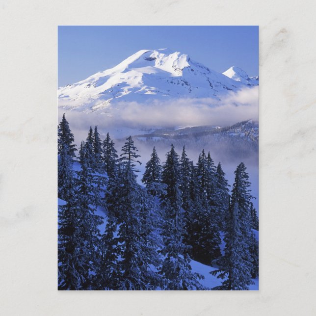 Carte Postale États-Unis, Oregon, forêt nationale de Deschutes,  (Devant)