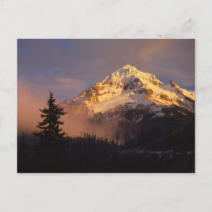 Carte Postale États-Unis, Oregon, Forêt nationale du mont Hood.