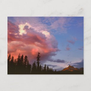 Carte Postale États-Unis, Oregon, Forêt nationale d'Umpqua. Orag