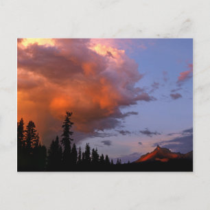 Carte Postale États-Unis, Oregon, Forêt nationale d'Umpqua. Temp