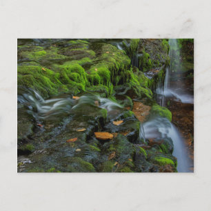 Carte Postale États-Unis, Pennsylvanie, Benton, Ricketts Glen St