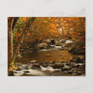Carte Postale États-Unis, Tennessee. Rushing Mountain Creek 3