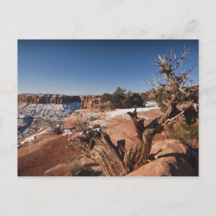 Carte Postale États-Unis, Utah, Moab. Parc national de Canyonlan
