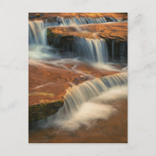 Carte Postale États-Unis, Utah, Parc national de Zion. Vue impre
