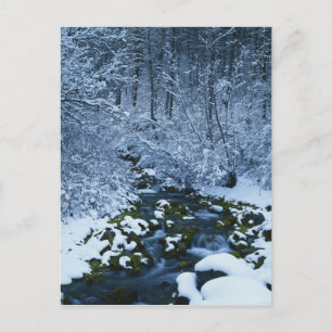 Carte Postale États-Unis, Utah, Wasatch-Catch National Forest,