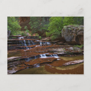 Carte Postale États-Unis, Utah, Zion National Park. Pittoresque