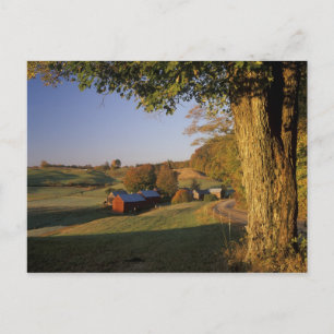 Carte Postale États-Unis, Vermont, sud de Woodstock, Jenne Farm