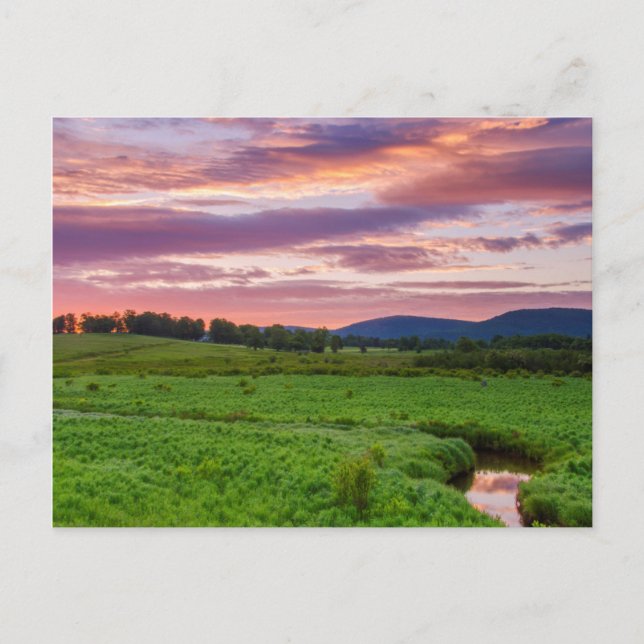 Carte Postale États-Unis, Virginie-Occidentale, Davis. Paysage (Devant)