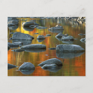 Carte Postale États-Unis, Virginie-Occidentale, Rocks Knob-Senec