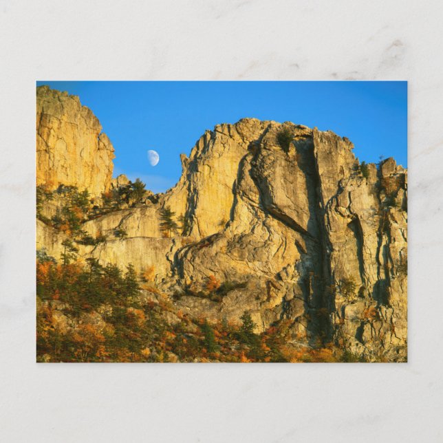 Carte Postale États-Unis, Virginie-Occidentale, Sprace Knob-Sene (Devant)