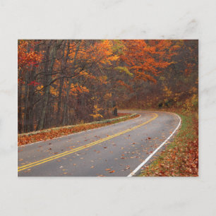 Carte Postale États-Unis, Virginie, Parc national de Shenandoah,
