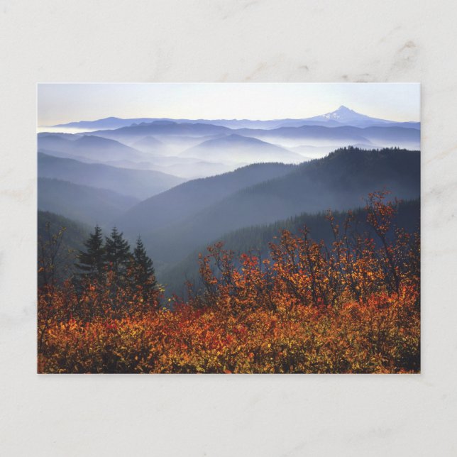 Carte Postale États-Unis, Washington, Gorge nationale de la rivi (Devant)
