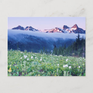 Carte Postale États-Unis, Washington, Mt. Parc national Rainier 