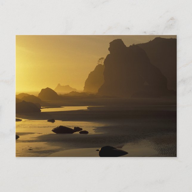 Carte Postale États-Unis, Washington, Olympic Nat'l Park, Sunset (Devant)