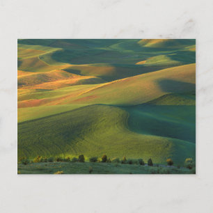 Carte Postale États-Unis, Washington, Palouse, comté de Whitman