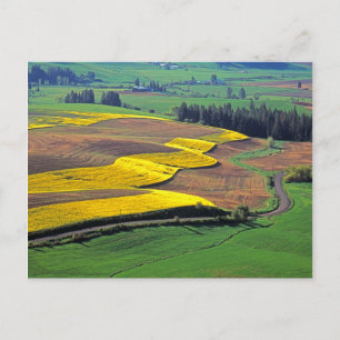 Carte Postale États-Unis, Washington, Palouse, Whitman Comté 2
