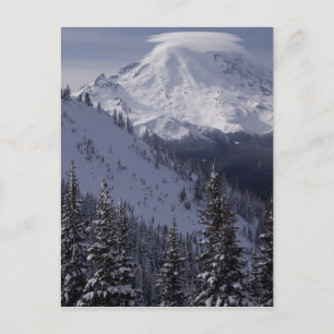 Carte Postale États-Unis, Washington, vue du Mont Rainier