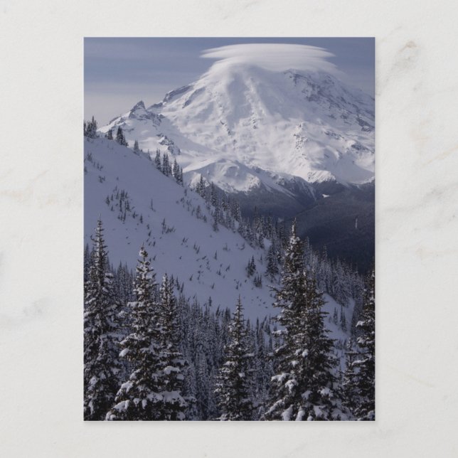 Carte Postale États-Unis, Washington, vue du Mont Rainier (Devant)