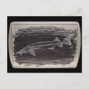 Carte Postale Etching - Esturgeon Sterlet
