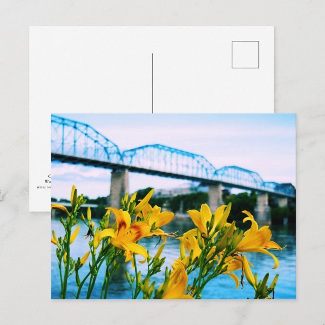 Carte Postale Été à Chattanooga, TN - Pont de rue Walnut (Devant / Derrière)