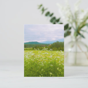Carte Postale Été à Hälsingland - Helsingia