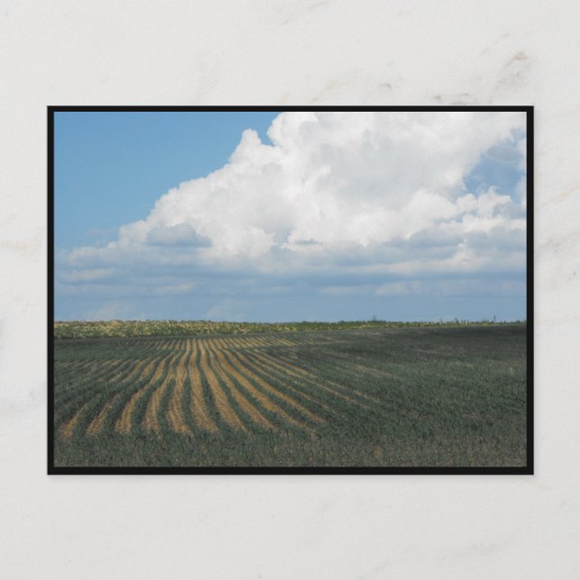 Carte Postale ~ Été dans le comté de Lancaster ~ 34 (Devant)