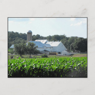 Carte Postale ~ Été dans le comté de Lancaster ~ 46