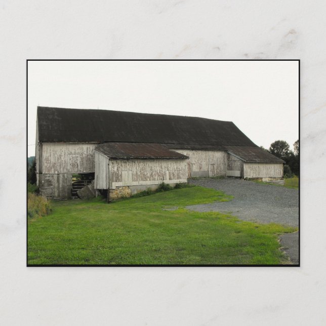 Carte Postale ~ Été dans le comté de Lancaster ~ 50 (Devant)