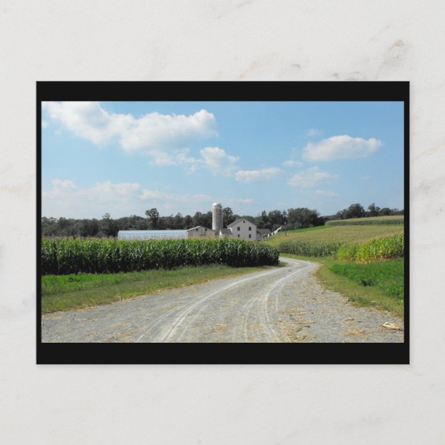 Carte Postale ~ Été dans le comté de Lancaster ~ 64 (Devant)