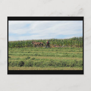 Carte Postale ~ Été dans le comté de Lancaster ~ 76