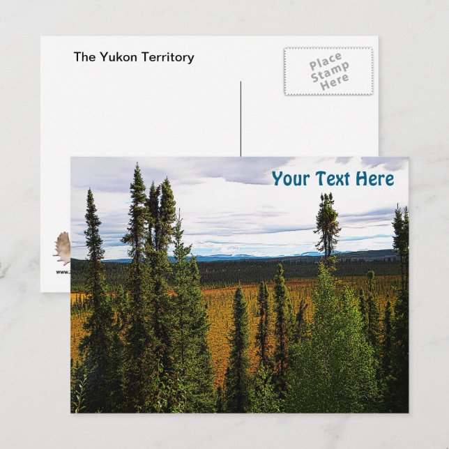 Carte Postale Été de la taïga (Devant / Derrière)