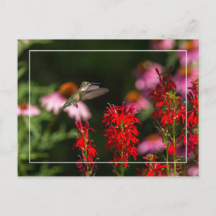 Carte Postale Été doux