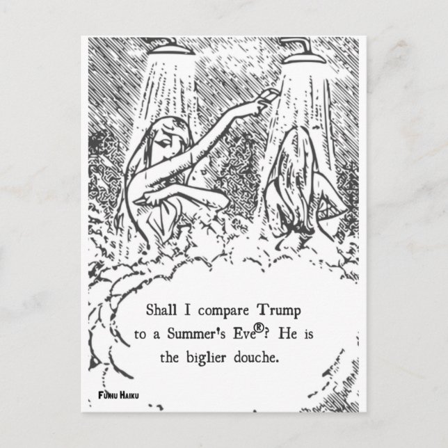 Carte postale été Trump (Devant)