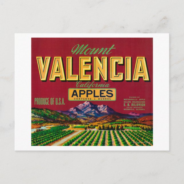 Carte Postale Étiquette Apple Mount Valencia - Watsonville, CA (Devant)