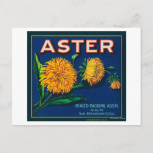Carte Postale Étiquette Aster Brand Citrus Crate
