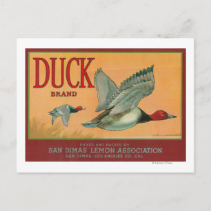 Carte Postale Étiquette Canard Lemon San Dimas, CA