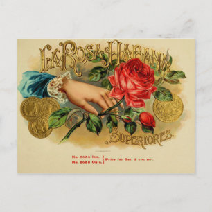 Carte Postale Étiquette de boîte à cigares vintage