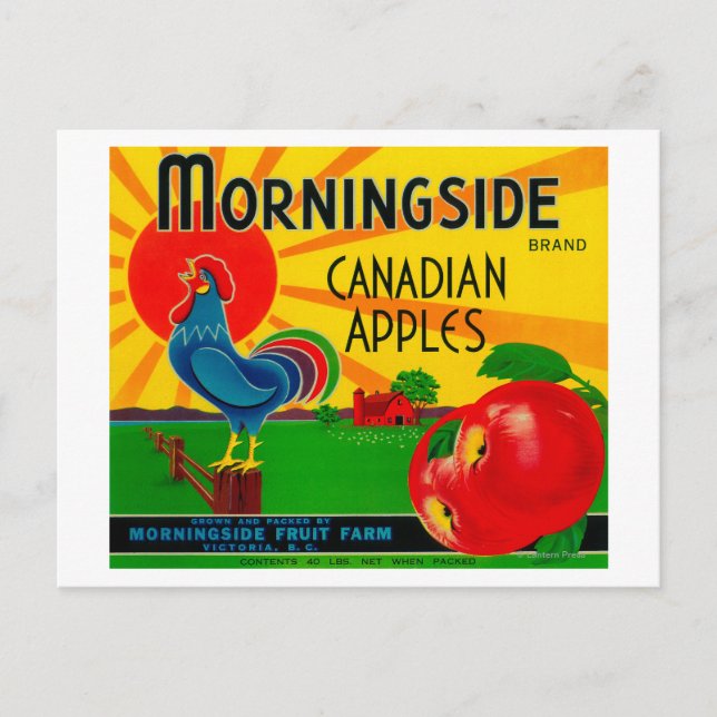 Carte Postale Étiquette de la pomme de Morningside Canada (Devant)