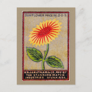 Carte Postale Étiquette vintage de match tournesol